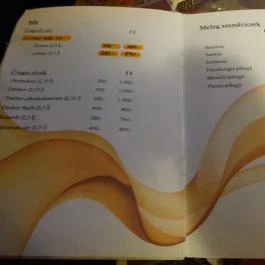 Süni Kávézó Nagykanizsa - Étlap/itallap