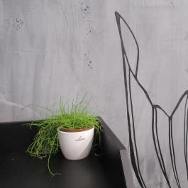 Sushi Master - Teréz körút Budapest - Egyéb