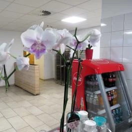 Sushido Budapest - Belső