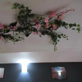 SushiGo Budapest - Egyéb