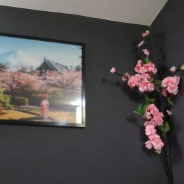 SushiGo Budapest - Egyéb