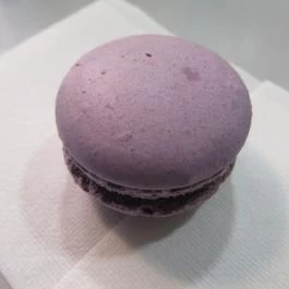 Sütim Budapest - Egyéb