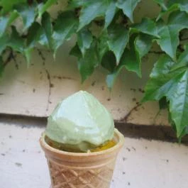 Sütim Budapest - Egyéb