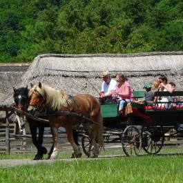 Szabadtéri Néprajzi Múzeum Szentendre - Egyéb