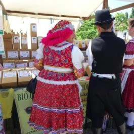 Szabadtéri Néprajzi Múzeum Szentendre - Egyéb