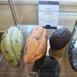 Szamos Csokoládé Múzeum, Budapest - Egyéb