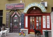 Szamos Cukrászda Budaörs Budaörs Szamos Cukrászda Budaörs Budaörs