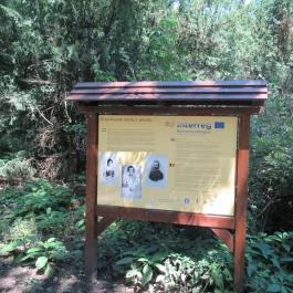 Szarvasi Arborétum, Szarvas - 