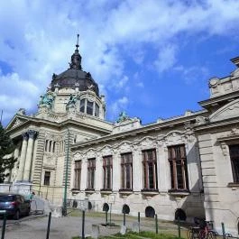 Széchenyi Gyógyfürdő és Uszoda Budapest - Egyéb