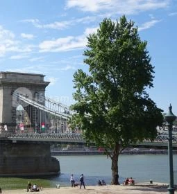 Széchenyi lánchíd