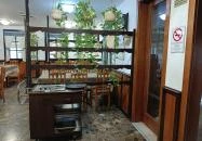 Szél Csárda Lajosmizse