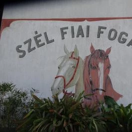 Szél Fiai Fogadó & Cellárium Nyúl - Külső kép