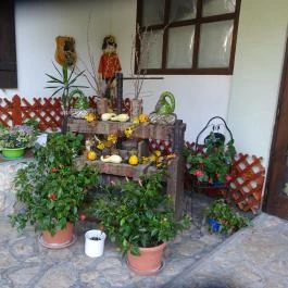 Szél Fiai Fogadó & Cellárium Nyúl - Külső kép