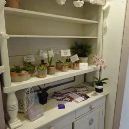 Szelence Café Budapest - Belső