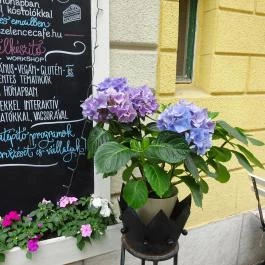 Szelence Café Budapest - Külső kép