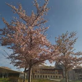 Széllkapu Park Budapest - Egyéb