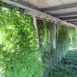 Széllkapu Park Budapest - Egyéb