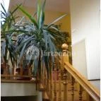 Szent György Panzió Tapolca - Belső