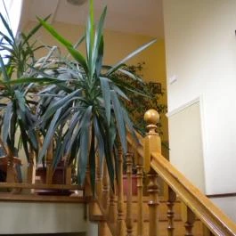 Szent György Panzió, Tapolca - Belső