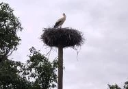 Szent István kápolna Makó