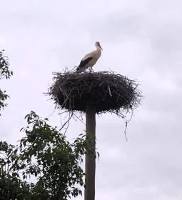 Szent István kápolna