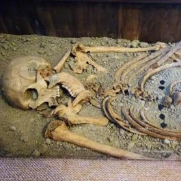 Szent István Király Múzeum Székesfehérvár - Egyéb