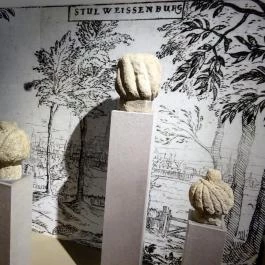 Szent István Király Múzeum Székesfehérvár - Egyéb