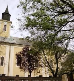 Szent István király Plébániatemplom Makó-Belváros