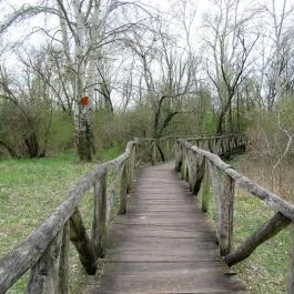 Szent Jakab Sétány Dabas - Egyéb