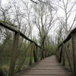 Szent Jakab Sétány Dabas - Egyéb