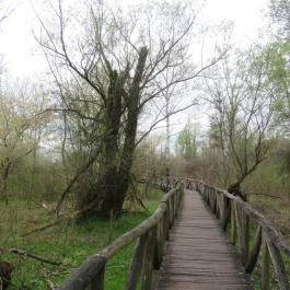 Szent Jakab Sétány Dabas - Egyéb