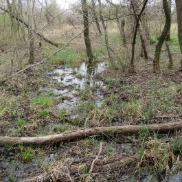 Szent Jakab Sétány Dabas - Egyéb