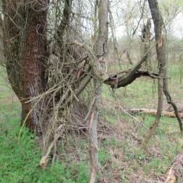 Szent Jakab Sétány Dabas - Egyéb