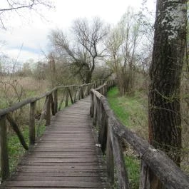 Szent Jakab Sétány Dabas - Egyéb