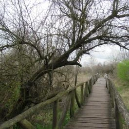 Szent Jakab Sétány Dabas - Egyéb