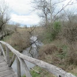 Szent Jakab Sétány Dabas - Egyéb