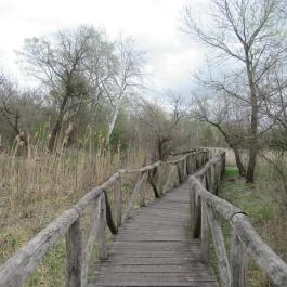 Szent Jakab Sétány Dabas - Egyéb