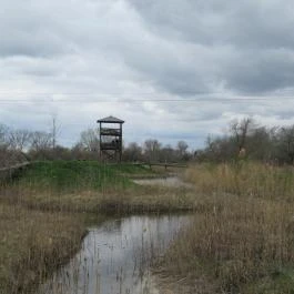 Szent Jakab Sétány Dabas - Egyéb