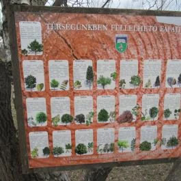 Szent Jakab Sétány Dabas - Egyéb