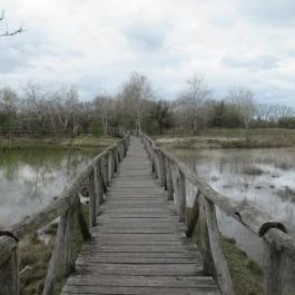 Szent Jakab Sétány Dabas - Egyéb