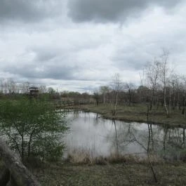 Szent Jakab Sétány Dabas - Egyéb