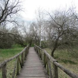 Szent Jakab Sétány Dabas - Egyéb