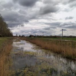 Szent Jakab Sétány Dabas - Egyéb