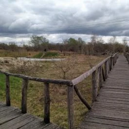 Szent Jakab Sétány Dabas - Egyéb