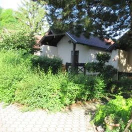 Szent András Fogadó, Hidegség - Egyéb