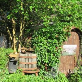 Szent András Fogadó, Hidegség - Egyéb