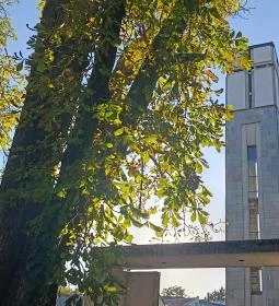 12. legjobb látnivaló: Szentendrei Evangélikus templom