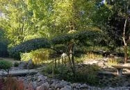 Szentendrei Japánkert Szentendre