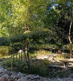 Szentendrei Japánkert