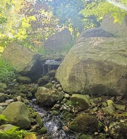 Szentendrei Japánkert